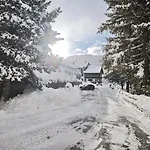La Betulla *